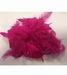 Hot Pink Feathers 
